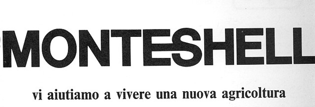 Monteshell 1976