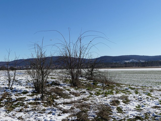 Meerhofsee, Alzenau