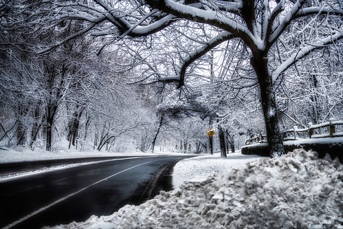 snow road view comfort trees fence pov nikondslrd850 nikon2470mmf28g winter february blurry vision