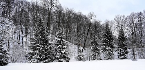 snow schnee landscape landschaft ravine tal nikonz6 nikkorz24200mmf463vr winter trees silhouette silence stille