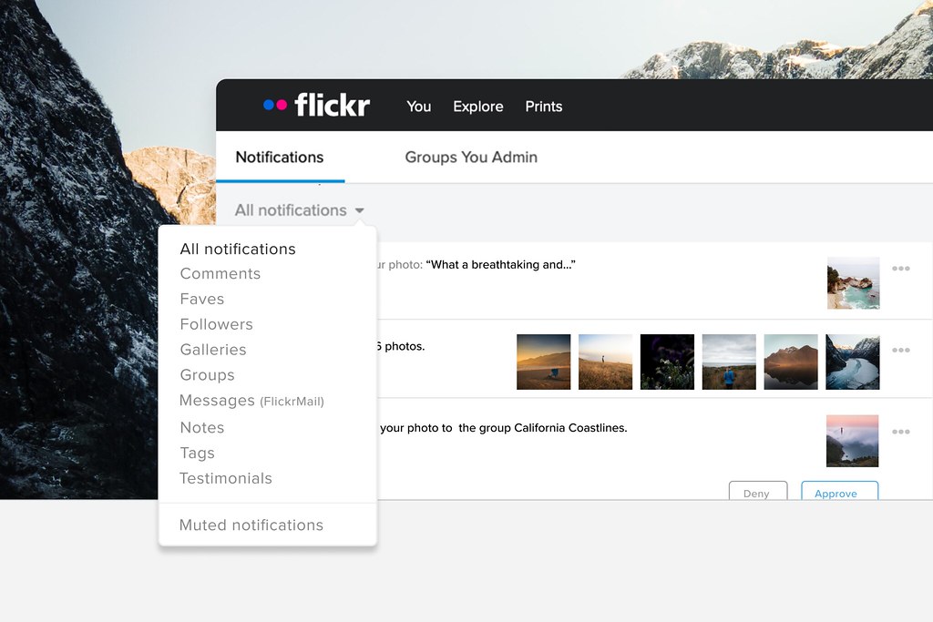 New Flickr Notifications Center