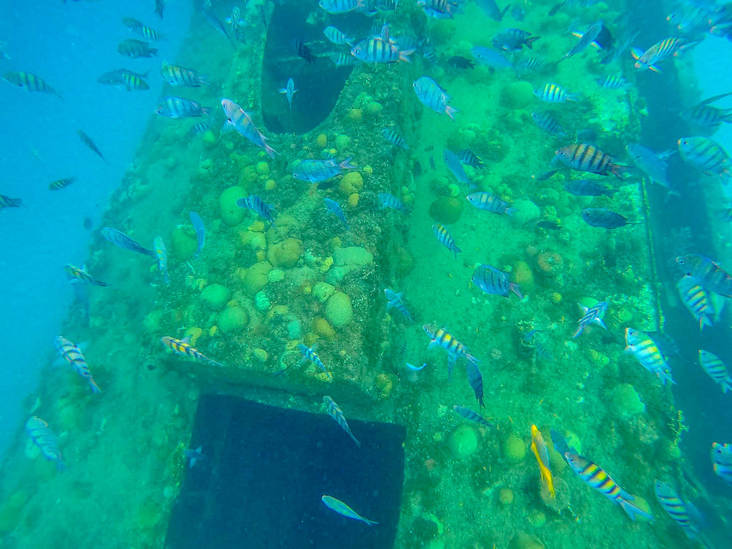 Barbados Shipwreck