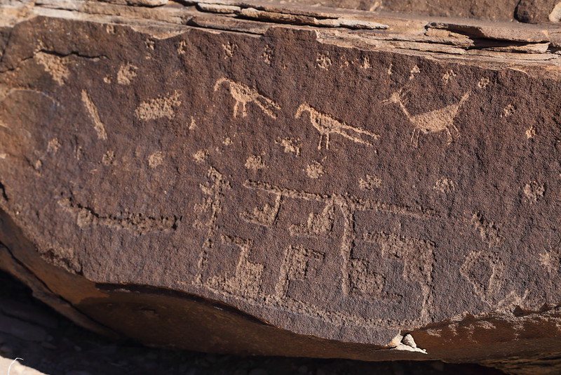 IMG_1392 Petroglyph with Birds, Petrified Forest National Park