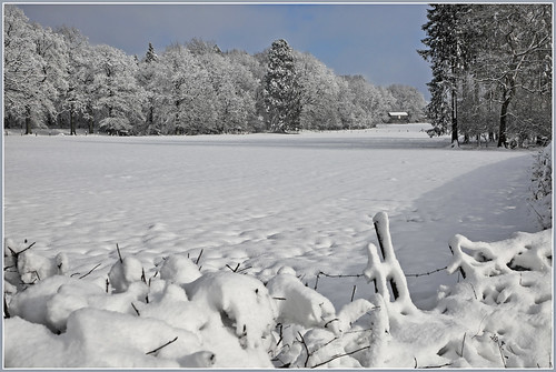belgium belgique belgië claudelina provincedeliège winter snow landscape hiver neige paysage sprimont dolembreux