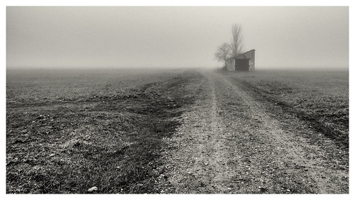 meco niebla fog foggy landscape mist nature cold winter road path bnw blackandwhite panasonic dmcgx8 lumix g vario 1260f3556