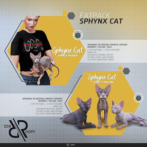 [REZZ ROOM] SPHYNX CAT ANIMESH