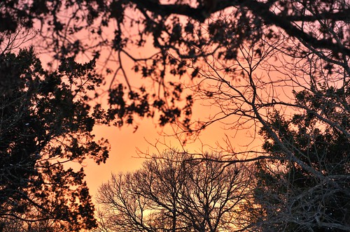 austin texas bartonhills polarvortex ice snow icestorm sunset goldenhour winter centraltexas freeze cold