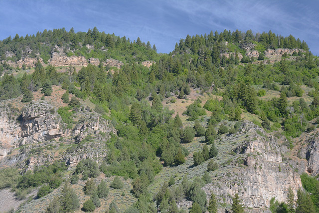 {} Logan Canyon National Scenic Byway ~ VII. {}