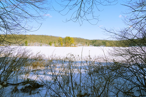 lake lakeshore winter wetlands woods snow ice island framed