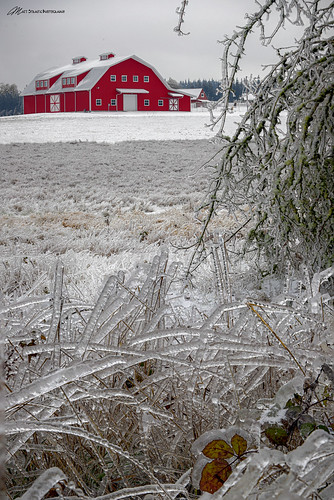 barn portland ice storm cold tree winter landscape farm