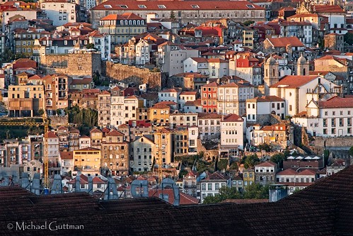 porto portugal cityscape buildings architecture goldenhour roofline urban