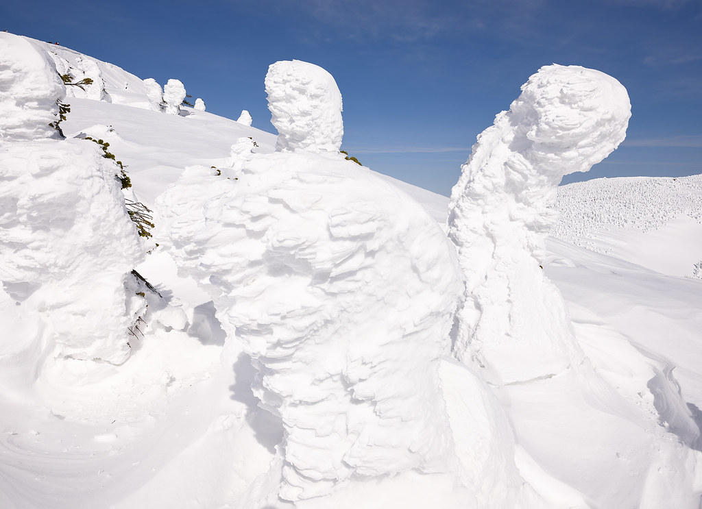 Japanese snow monsters - 3
