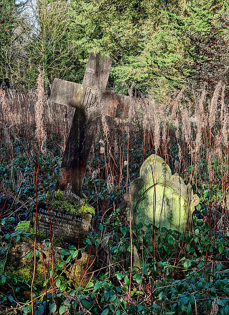 Abandoned Graveyard