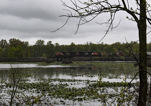 cnic cn ic illinois central canadian national buckner il marsh pond trains railroad eldorado sub