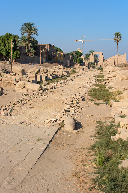 Luxor (Thebes) Karnak Avenue of Ram-headed Sphinxes XXX Dyn Nectanebo I south of Karnak Precinct of Amun-Re (1)