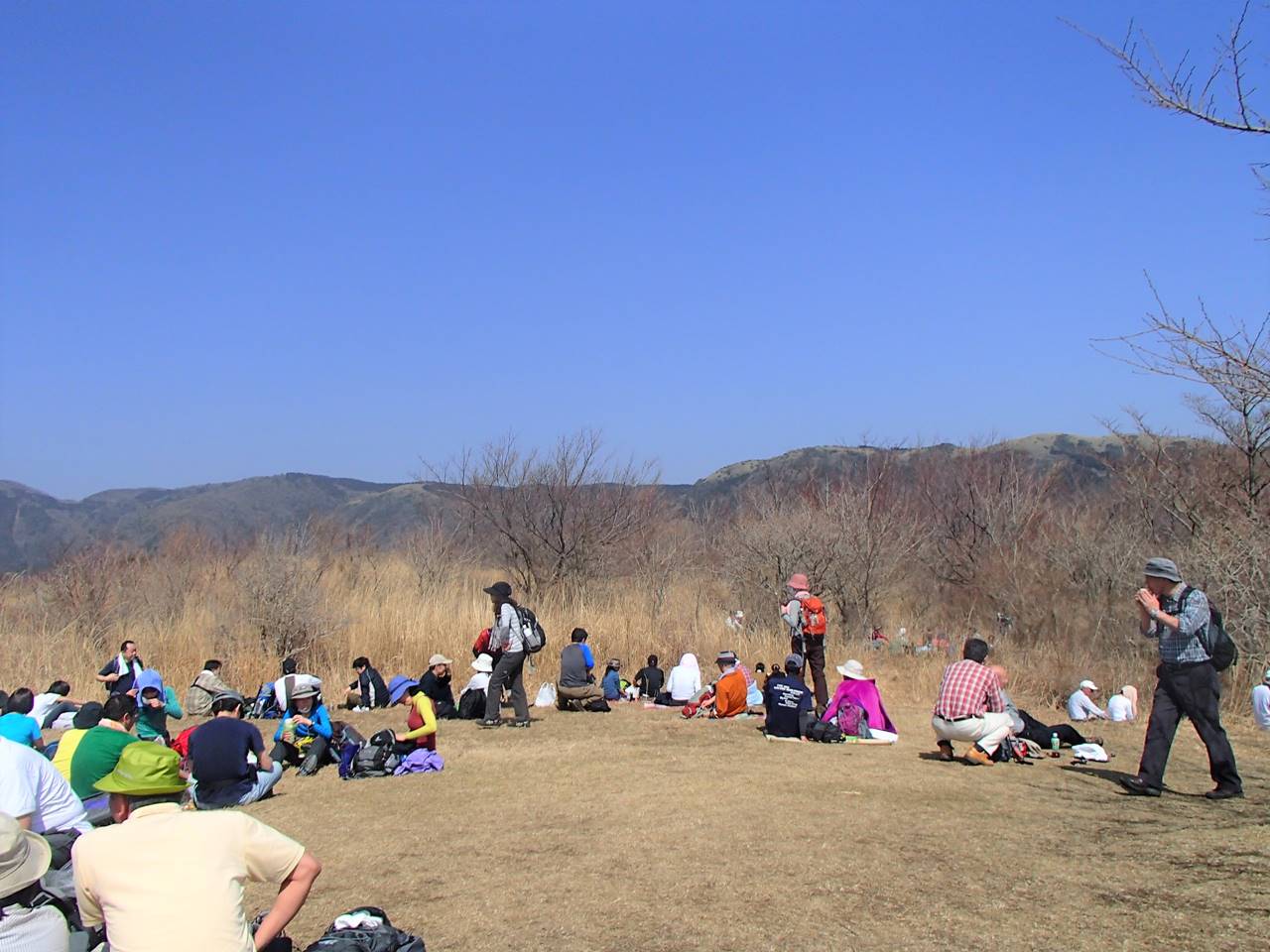 【丹沢】幕山・湯河原梅林 満開の梅の花と大展望を望む春の登山