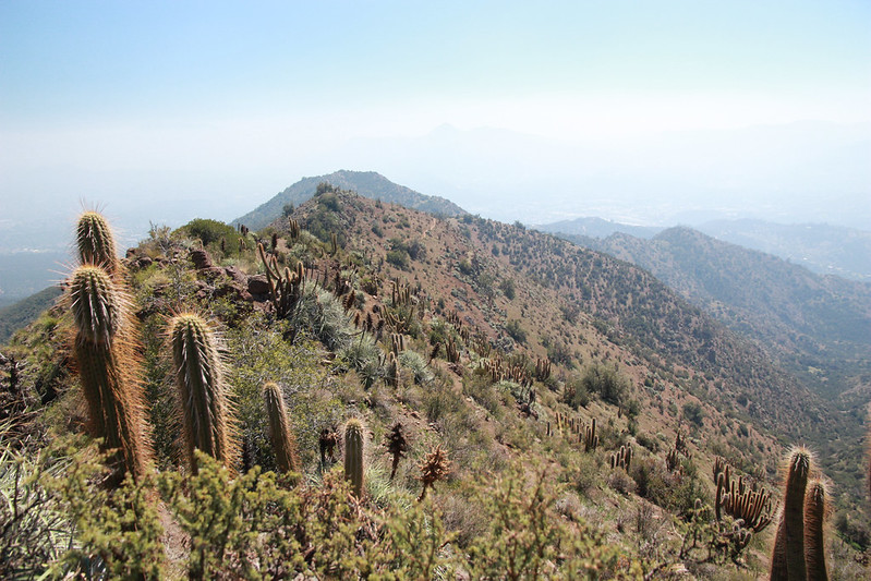 The cactii make it a bit interesting though. Still a really nice hike. On this day, a heap of people were finishing a 160km trail run... crazy!