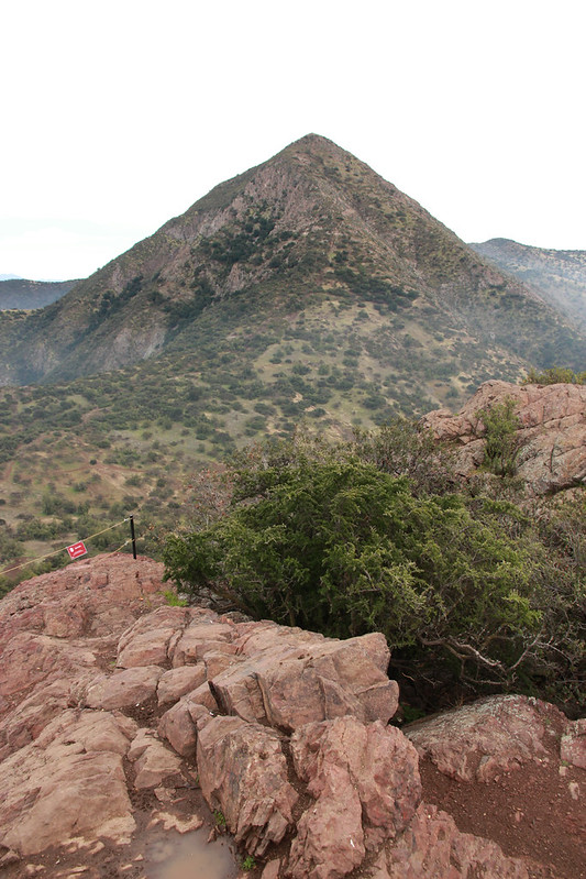 Looking up at Cerro Manquehue. Another 350m-400m up (not that this photo looks like it.