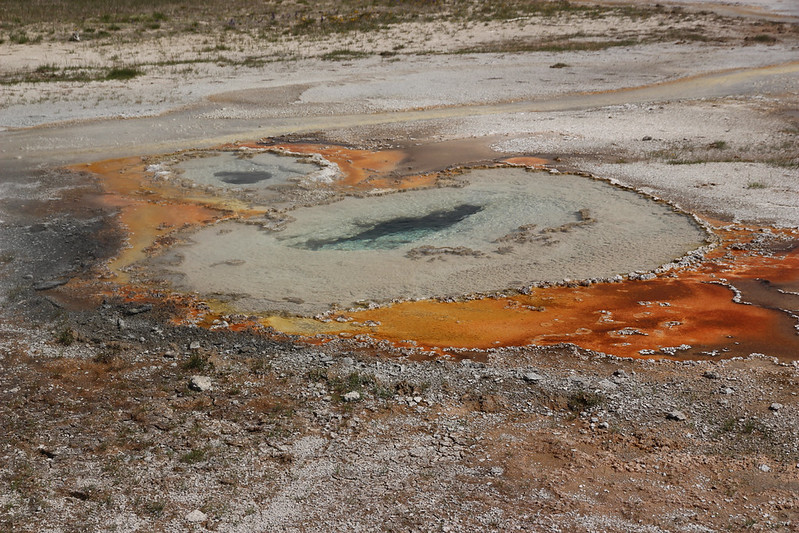 Hot spring. Orange bits.