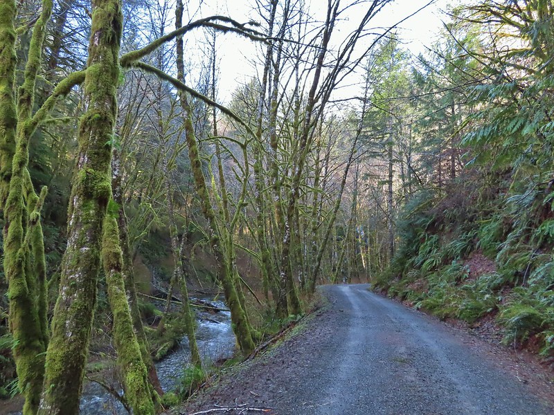 Hill Road along Fall Creek