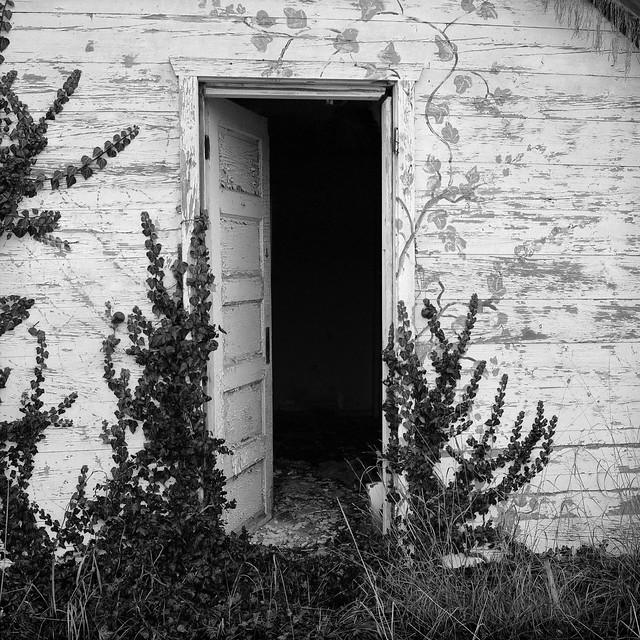 Shed, Abandoned Farmhouse, Eastern Washington