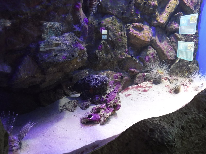 DSCF5864