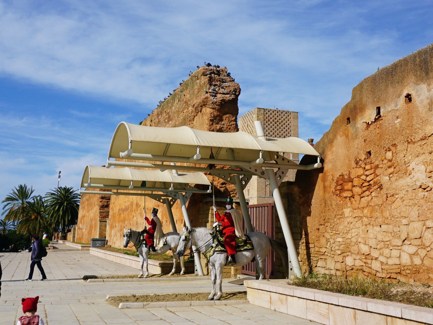 Hassan Tower guards