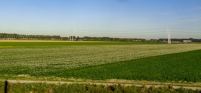 rotterdam to schipol by train