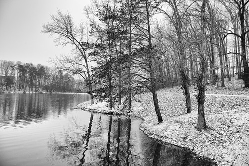 snow bwphotography landscape kentucky monochrome marioncounty