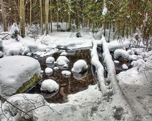 sonyrx10iv landscape stream winter snow myllyoja finland puro talvi metsäpuro lumi tampere