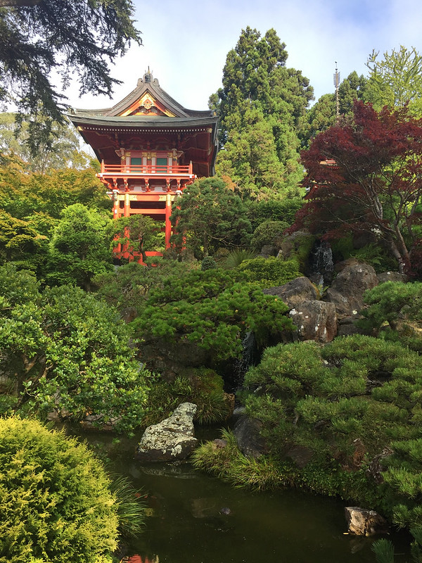Japanese tea garden in the golden gate park