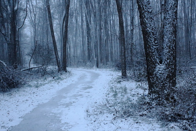 A Winter's Walk No. 3