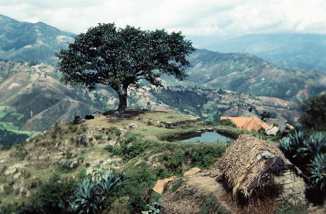 Nepal, 1984