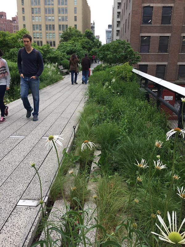 Walked the high line. An old railway line transformed in to a green walkway