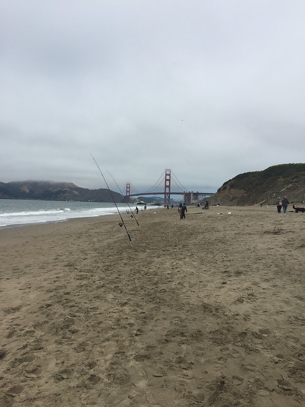 Loads of fishing rods on the beach