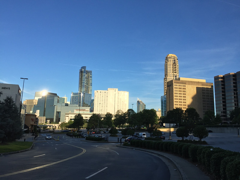 Buck head skyline by morning