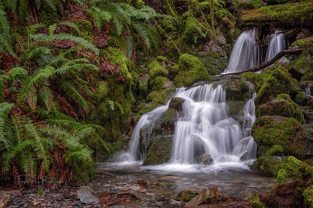 Waterfalls are abundant this time of year on Vancouver Island.