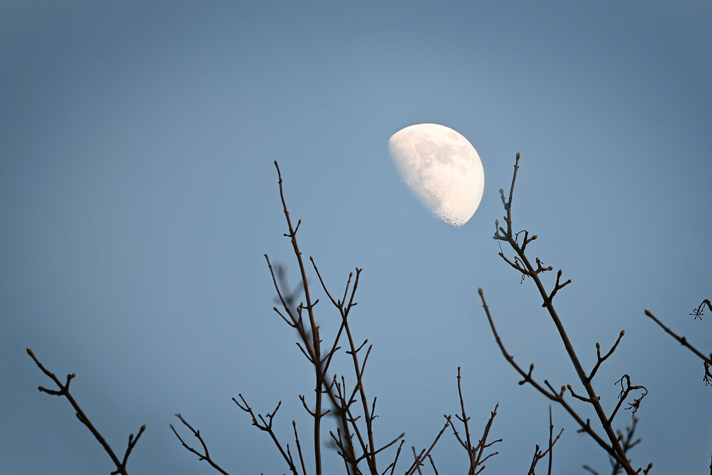 Moon in the day