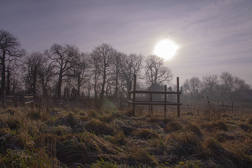landscapephotography landscape sunrise trees cold winterscene wintry frost purdown bristol
