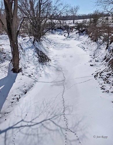 mkt trail missouri railroad bridge hinkson creek snow tracks