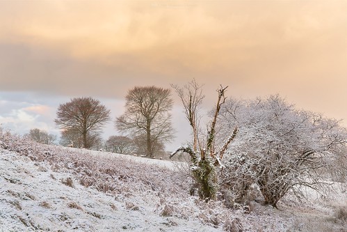 weather landscape snowflakes countryside seasons tripod frosty devon moors coloured winterscene frostpocket moodysky dartmoornationalpark leefilters 5dmk3 twogiantscoops devonoutback scoopsimageslife winter snow photoshop sunrise canon dawn frost dramatic lee lush snowfall technicolor dartmoor mothernature cloudscape atmospheric fiery manfrotto extremeweather firstlight scoops okehampton circularpolariser ndfilter landscapephotography intervalometer bridestowe cpfilter chasingthelight countryfile cableremote leefoundationkit 5d3 softgrad iplymouth 2470mmf4 chrismarshall’simages steathsunset photographersquest explore mostinteresting explored inexplore