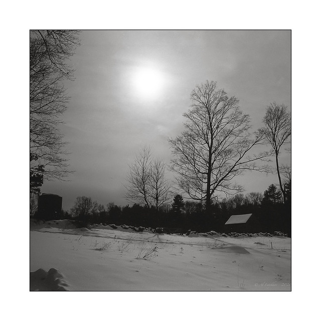 Cold Sun, film