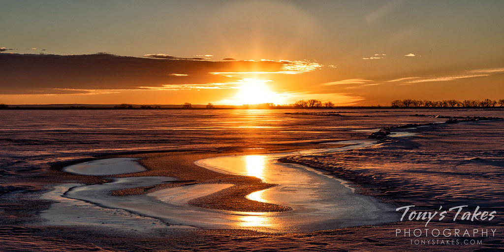 A frozen lake on the Colorado plains in the depths of winter. (Tony's Takes)