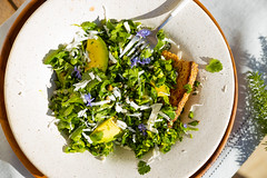 Herb Salad with Ricotta Salata