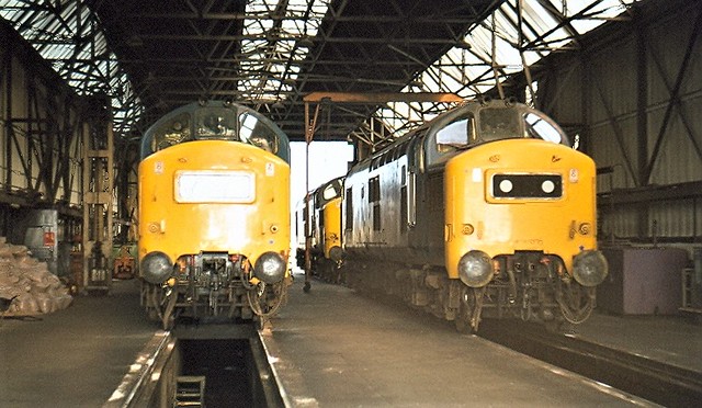 Class 37s by Andy Sutton