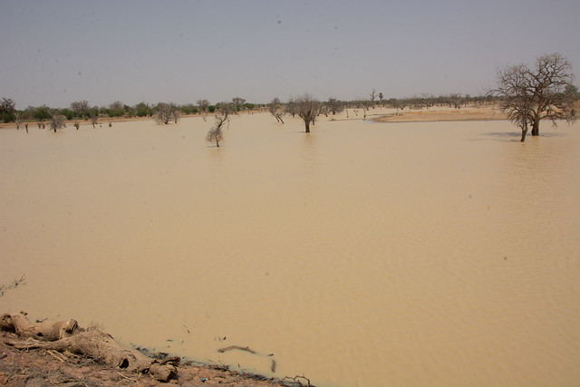 Program to strengthen resilience to food insecurity in the Sahel