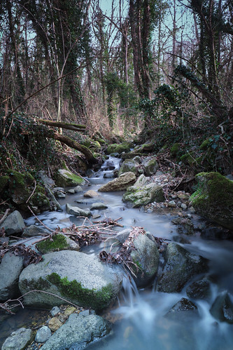 water eau ruisseau nature landscape paysage xf16mmf14 xt3 fujifilm fuji
