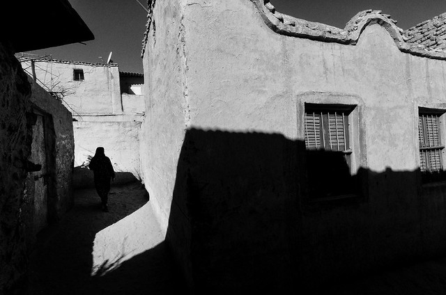 Shadows of Nubia