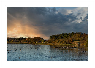 Closing time Martin Mere