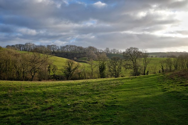 Somerset Fields and Woods.
